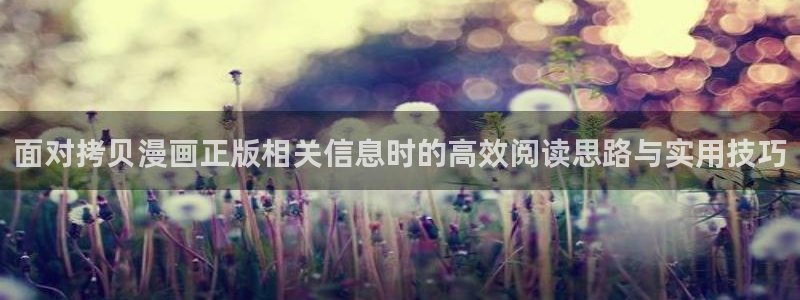 风车漫画:面对拷贝漫画正版相关信息时的高效阅读思路与实用技巧