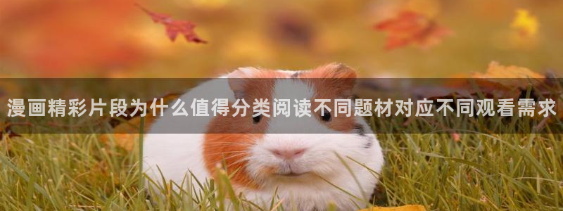 韩漫排行榜:漫画精彩片段为什么值得分类阅读不同题材对应不同观看需求