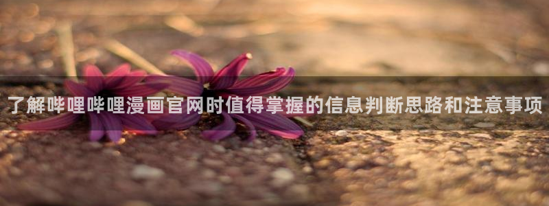 悬疑推理漫画:了解哔哩哔哩漫画官网时值得掌握的信息判断思路和注意事项
